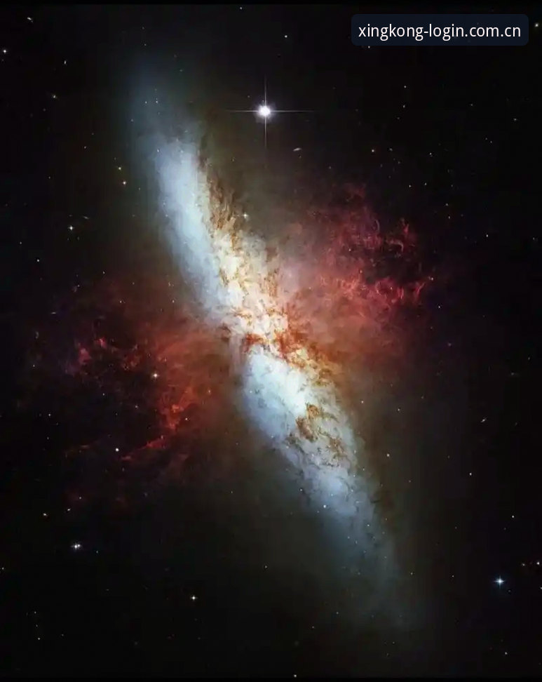 星空体育平台好用吗？多维度对比深度解析