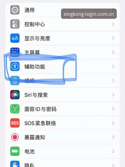 新手如何快速上手星空体育手机版？一份完整的推荐与操作指南